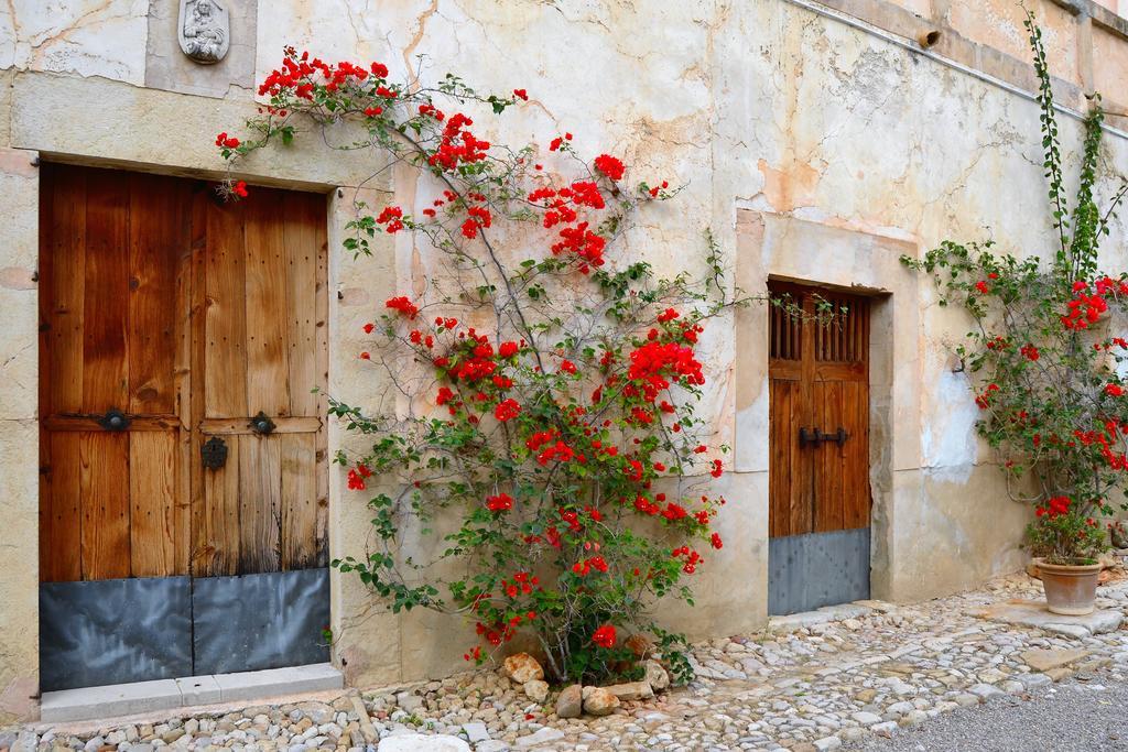 Séjour à la ferme Agroturismo Son Sant Andreu Petra (Mallorca)